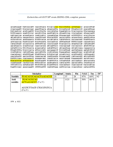 Ejercicio-diseno-de-Primers.pdf