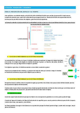 Tema-9-apm.pdf