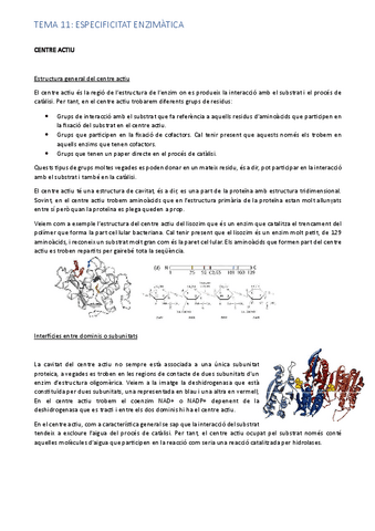 tema-11.pdf