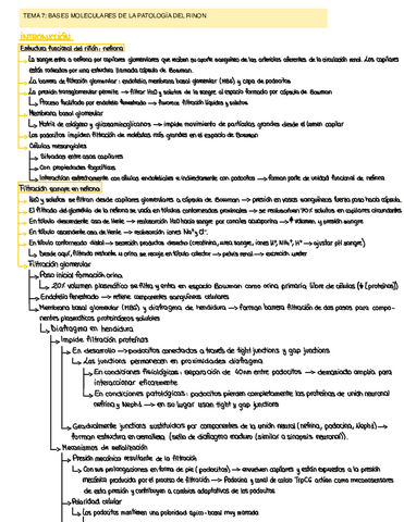 BASES-MOLECULARES-II-Tema-7.pdf
