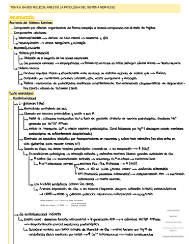 BASES-MOLECULARES-II-Tema-9.pdf