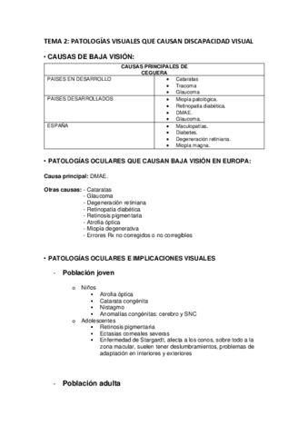 TEMA-2.pdf
