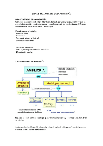 TEMA-12-BAJA-VISION.pdf
