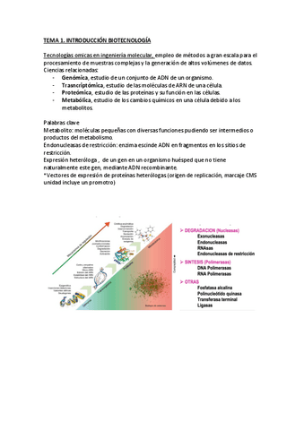 Tema-1.-Introduccion-Biotecnologia.pdf