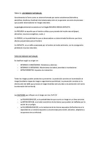 TEMA-11.pdf