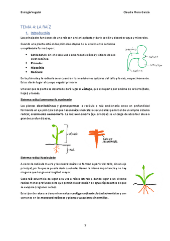 TEMA-4.pdf