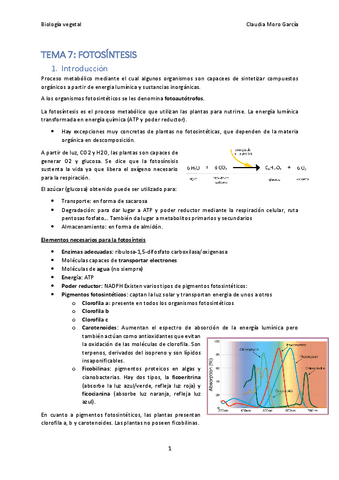 TEMA-7.pdf