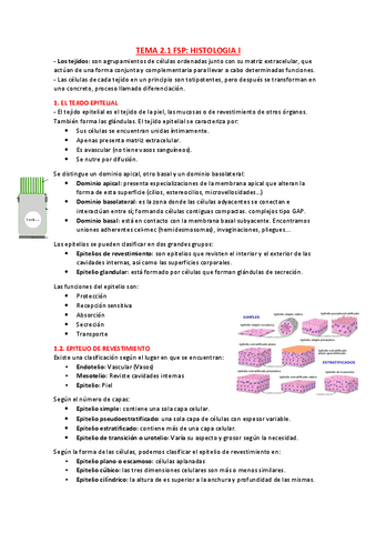tema-2.1-parte-1.pdf