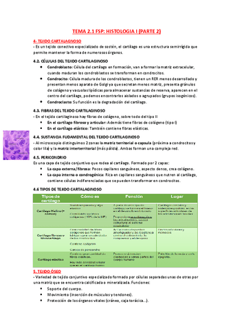 tema-2.1-parte-2.pdf