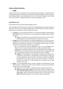 TEMA 10. SENTIDOS ESPECIALES. VISIÓN.pdf