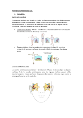 TEMA 10. SENTIDOS ESPECIALES. EQUILIBRIO.pdf