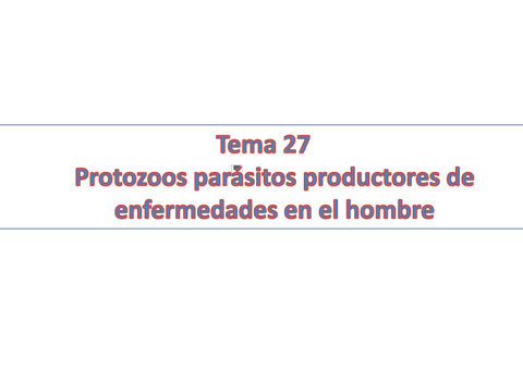 Tema-27.pdf