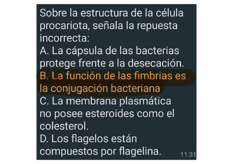 Screenshot20210603-181517WhatsApp-1-convertido.pdf