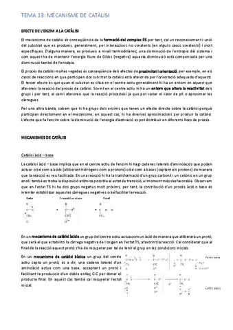 tema-13.pdf