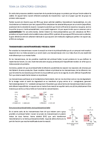 tema-14.pdf