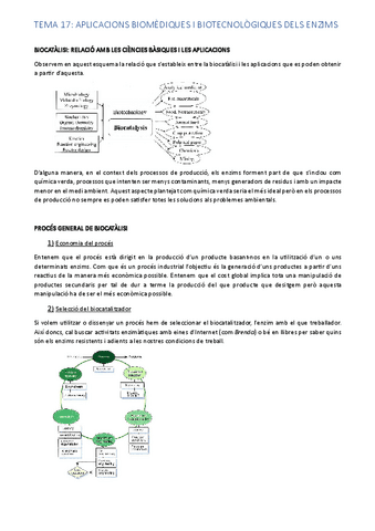 tema-17.pdf