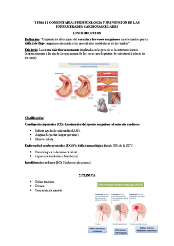 TEMA-12-COMUNITARIA.M.pdf