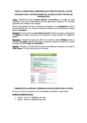 TEMA-13-COMUNITARIA.pdf