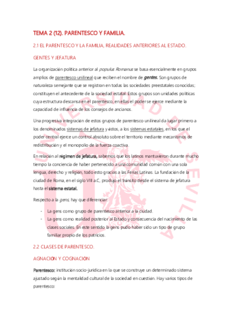 TEMA 2 ROMANO.pdf
