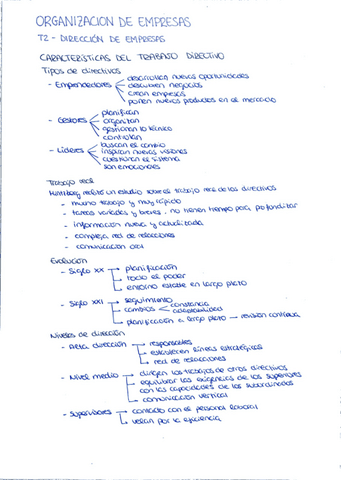 ORGANIZACION-DE-EMPRESAS-tema2.-direccion-de-empresas.pdf