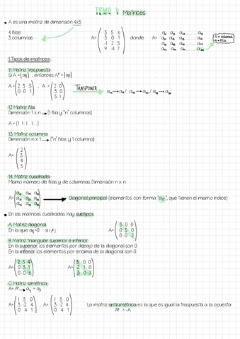 Tema-4-Matrices.pdf