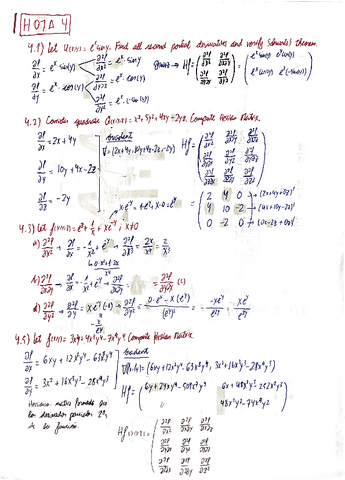 Hoja-4-Matematicas-II.pdf