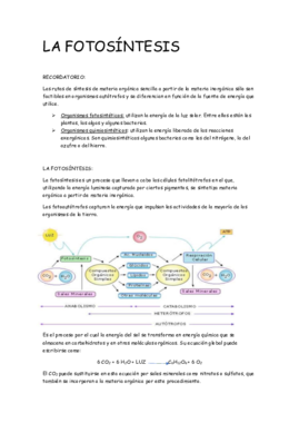 LA FOTOSÍNTESIS.pdf