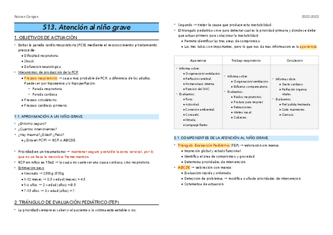 S13.-Paciente-grave.pdf