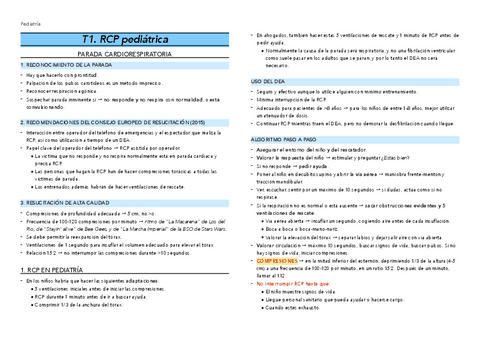 T1.-RCP.pdf