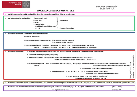 Esquema-asignatura-Bioestadistica.pdf