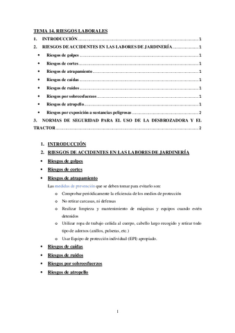 TEMA-14.-Riesgos-laborales.pdf