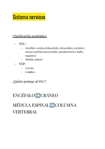 Sistema-Nervioso.pdf