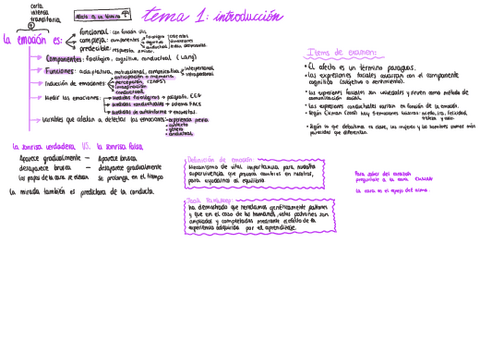 esquemas-de-emocion.pdf