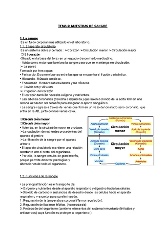 gestion-T6.pdf