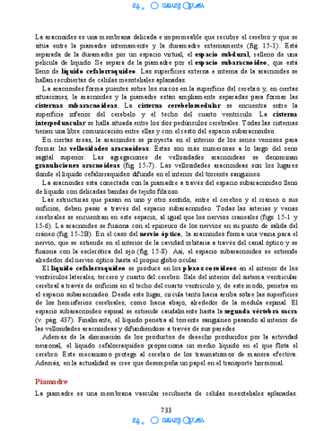 Neuroanatomia-Clinica-Snell-7a-Edicionbooksmedicosorg-62.pdf
