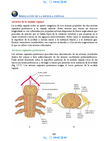 Neuroanatomia-Clinica-Snell-7a-Edicionbooksmedicosorg-68.pdf