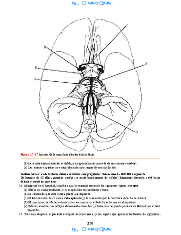 Neuroanatomia-Clinica-Snell-7a-Edicionbooksmedicosorg-70.pdf