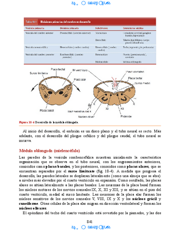 Neuroanatomia-Clinica-Snell-7a-Edicionbooksmedicosorg-71.pdf