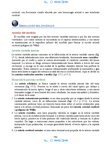 Neuroanatomia-Clinica-Snell-7a-Edicionbooksmedicosorg-62.pdf