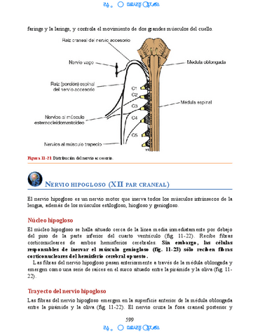 Neuroanatomia-Clinica-Snell-7a-Edicionbooksmedicosorg-47.pdf