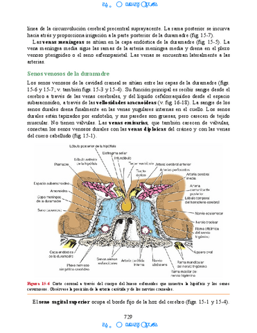 Neuroanatomia-Clinica-Snell-7a-Edicionbooksmedicosorg-57.pdf