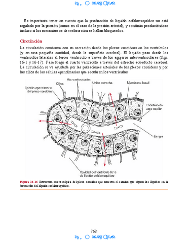 Neuroanatomia-Clinica-Snell-7a-Edicionbooksmedicosorg-60.pdf
