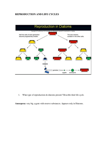 Activity.-Reproduction-and-life-cycles.pdf