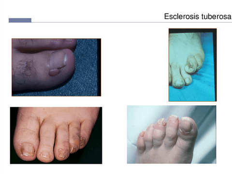 Dermatologia-22.pdf