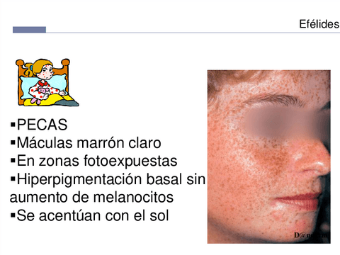 Dermatologia-24.pdf