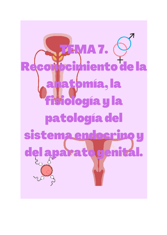 Reconocimiento-de-la-anatomia-la-fisiologia-y-la-patologia-del-sistema-endocrino-y-del-aparato-genital.pdf
