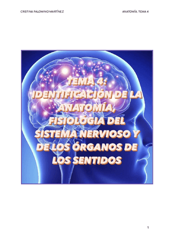 Identificacion-de-la-anatomia-la-fisiologia-y-la-patologia-del-sistema-nervioso-y-de-los-organos-de-los-sentidos.pdf
