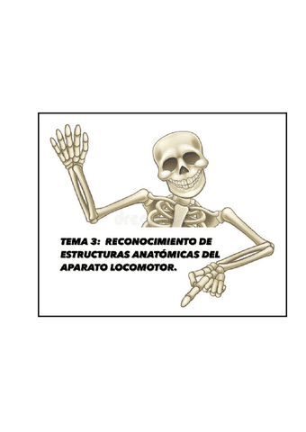 Reconocimiento-de-las-estructuras-anatomicas-y-del-aparato-locomotor.pdf