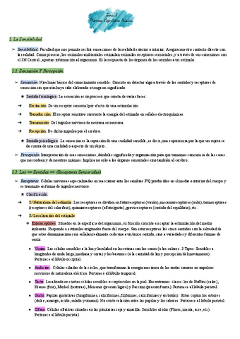 Psicologia-Tema-3-Procesos-Cognitivos-Basicos.pdf