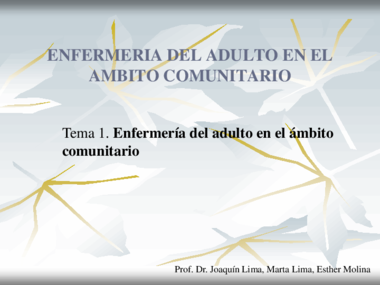 Tema 1 Enfermeria del adulto en el ambito comunitario.pdf